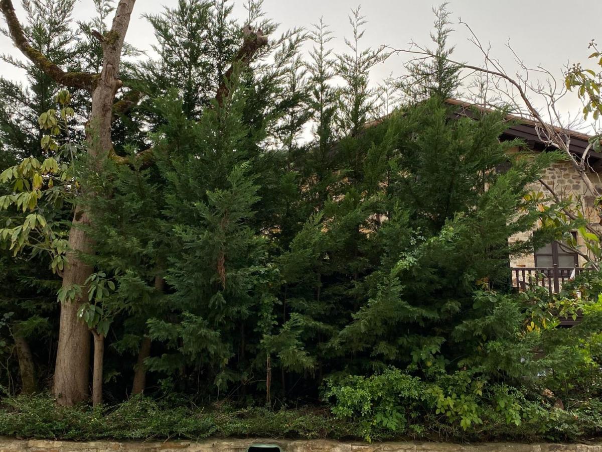 Posada Y Apartamentos Trebuesto De Guriezo Dış mekan fotoğraf